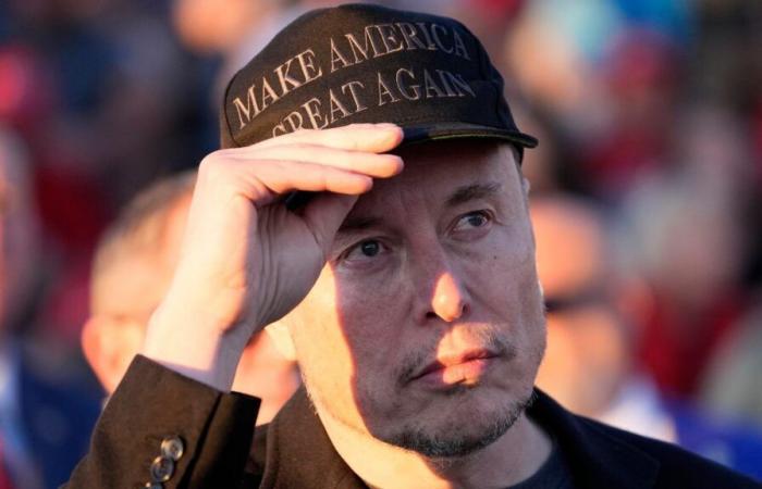 La trasmissione AfD di Elon Musk ha chiarito ogni dubbio sul suo atteggiamento nei confronti dell’estrema destra tedesca | Notizie dal mondo