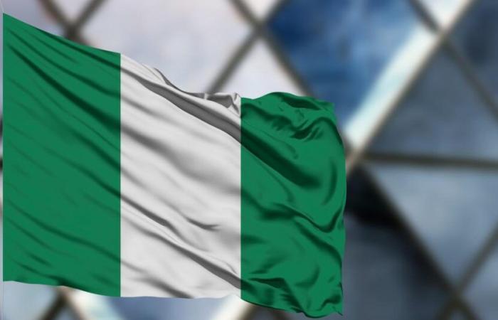 La Nigeria modificherà il calcolo del PIL per includere le attività “illegali”.