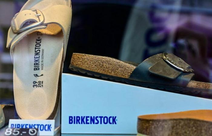 Birkenstock fa causa agli imitatori per violazione del copyright