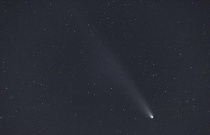 Una nuova cometa passerà “vicino” alla Terra nei prossimi giorni