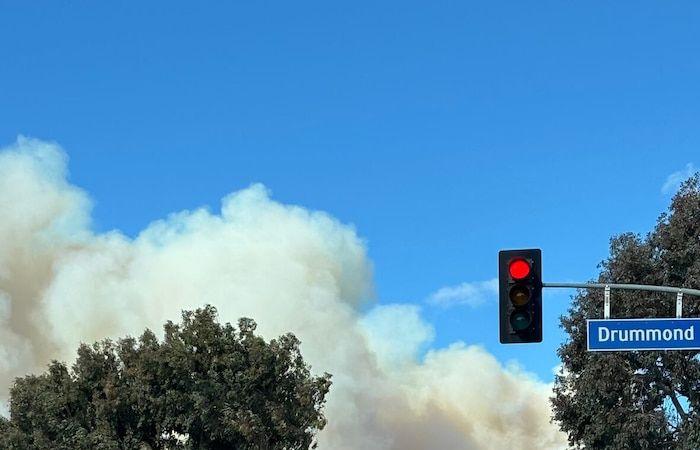 Incendi a Los Angeles: “Tutta Pacific Palisades era scomparsa”, lamenta una donna canadese