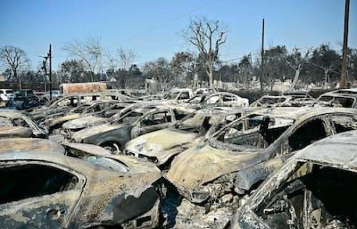 Incendi a Los Angeles: zone colpite sotto stretta sorveglianza per evitare saccheggi