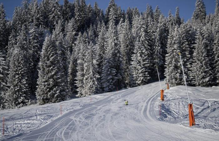 Il limite della neve sta cadendo – dove ora c’è la neve