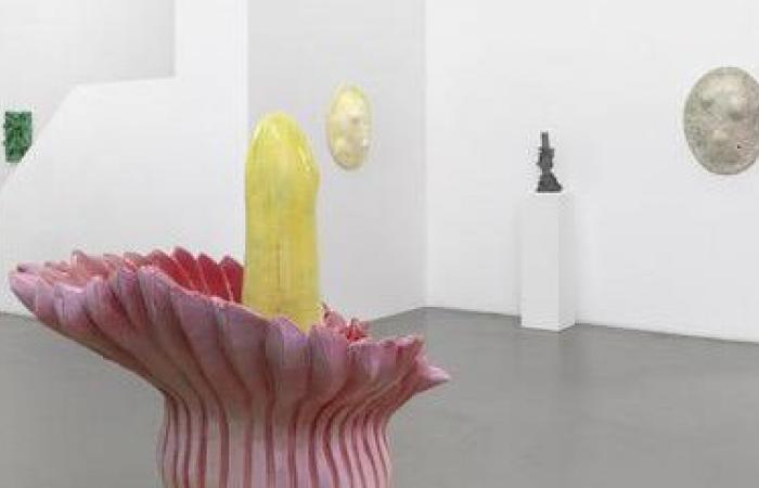 Genevoise Mai-Thu Perret espone alla galleria Mezzanin