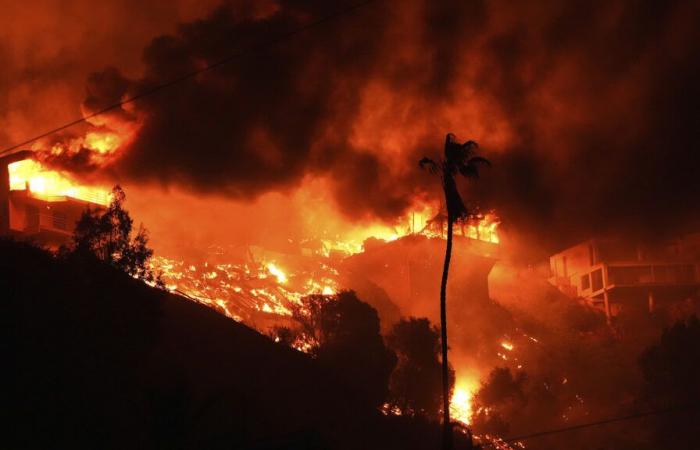 Paris Hilton, Adam Brody e Billy Crystal perdono le loro case negli incendi della California