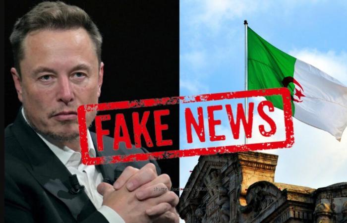 Elon Musk condivide false informazioni contro gli algerini in Europa