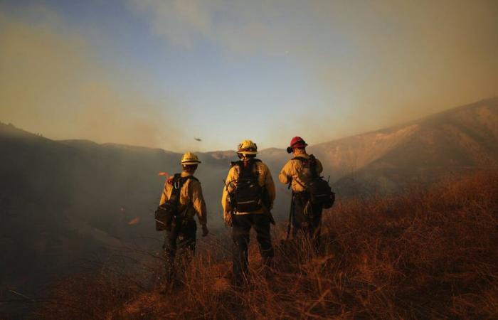 Prigionieri “volontari”, agenti privati,… chi sono i vigili del fuoco che cercano di spegnere gli incendi?