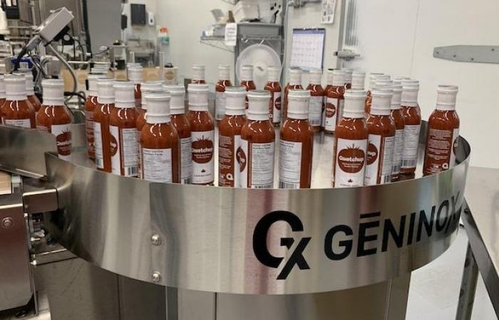 Imbottigliare il Canada, che produceva condimenti di salsa canadese, è in bancarotta