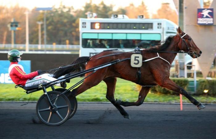 Lady Dada pronta a rifarlo