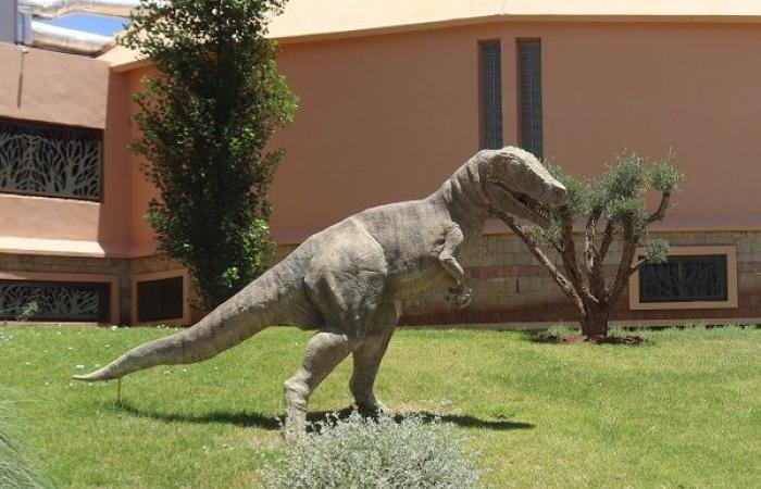 Presto un parco divertimenti sul tema dei dinosauri