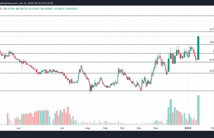 queste altcoin parlano di loro!