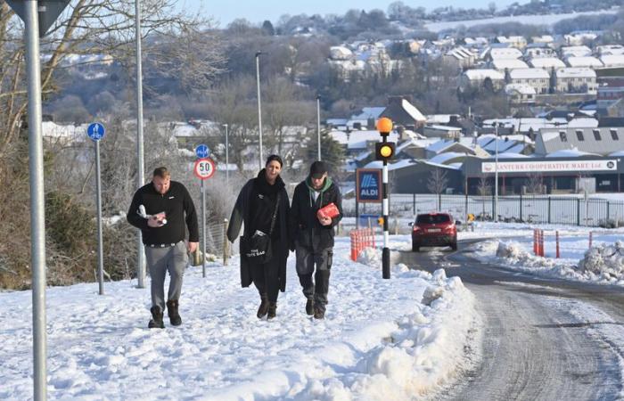 “Ci vorrà un bel po’ di tempo prima che le cose tornino alla normalità”, afferma il TD di Cork mentre le forze di difesa si schierano per aiutare a ripulire le aree più colpite