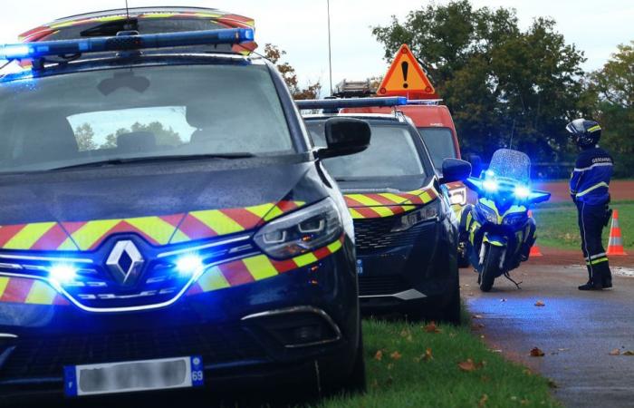 La polizia arresta un autista con più di 6.000 bottiglie di alcol forte vicino a Briey