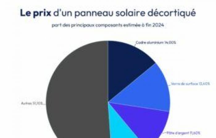 Quale elemento costa di più in un pannello solare?