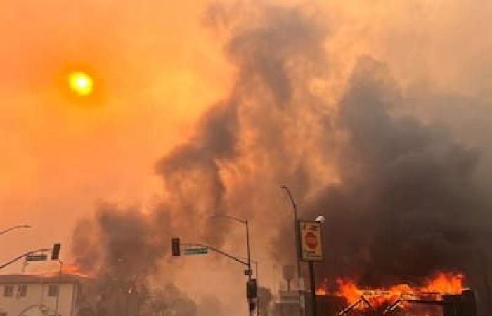 Gli incendi di Los Angeles in cifre