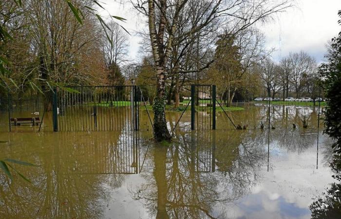 “Alla fine della giornata avremo i piedi nell’acqua”: vicino a Rennes evacuata questa clinica psichiatrica [Vidéo]