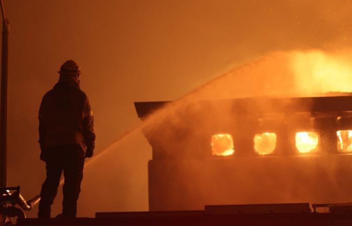 Incendi boschivi: Google Maps permette di tracciare gli incendi, come funziona?