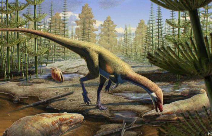 Le origini dei dinosauri scosse da una nuova scoperta