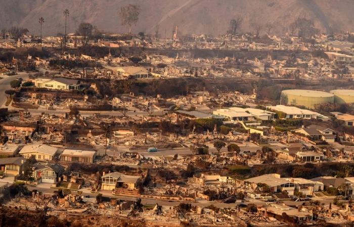 Incendi vicino a Los Angeles | “La città non esiste più”, dice un quebecchese che vive ad Altadena