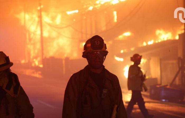 Incendi boschivi: Google Maps permette di tracciare gli incendi, come funziona?