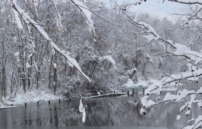 Neve, ghiaccio, alluvioni: nove dipartimenti messi in allerta arancione: News