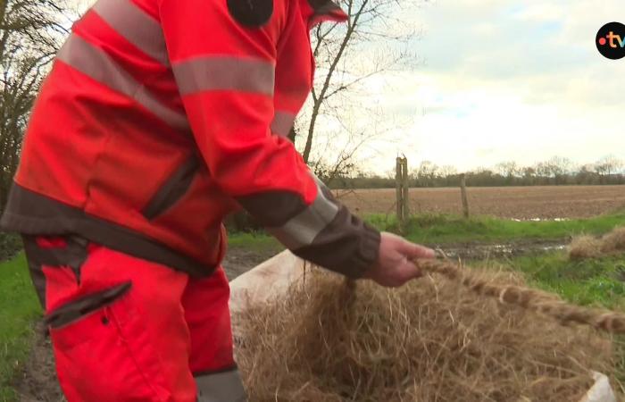 La Loira si alza, la SNCF chiude le paratoie per la sicurezza dei residenti