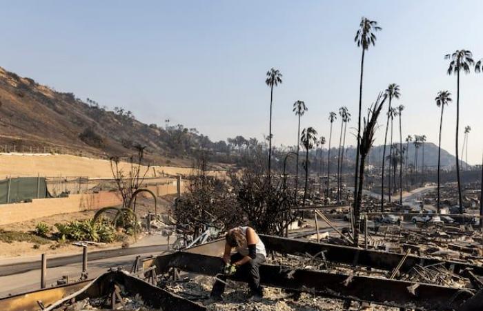 Incendi a Los Angeles: almeno 10 morti