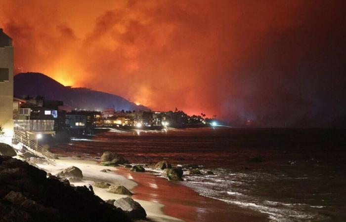 Incendi boschivi: Google Maps permette di tracciare gli incendi, come funziona?