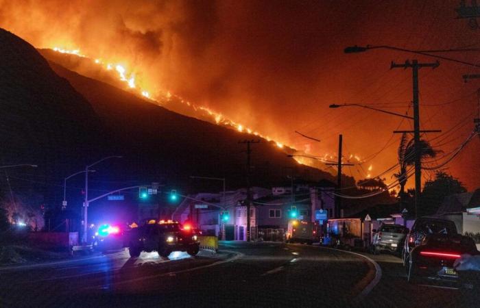 gli ingredienti di incendi boschivi sempre più devastanti