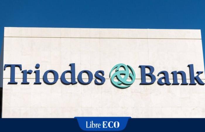 La proposta di Triodos di pagare 10 euro a certificato è una “mano d’opera”