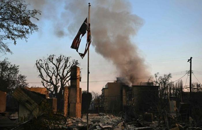 Gli incendi di Los Angeles in cifre