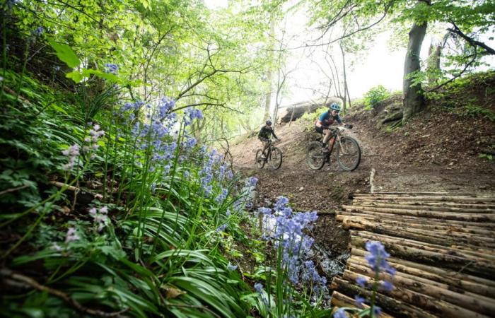 Open MTB Tour e Dusty Gravel Series, due nuove serie in Belgio dal 2025 ⋆ Vojo