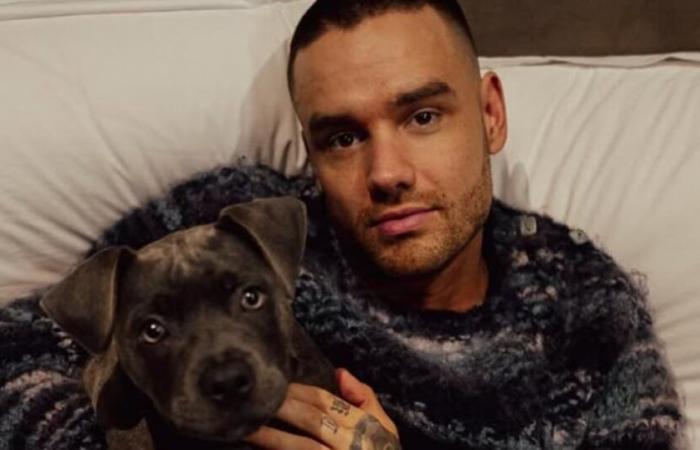 La causa della morte di Liam Payne degli One Direction è stata confermata