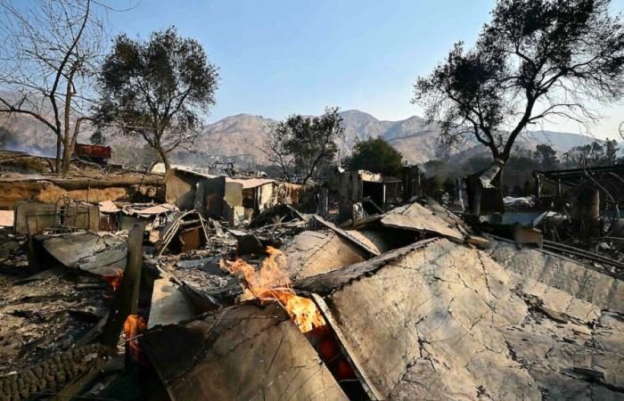 Incendi a Los Angeles: zone colpite sotto stretta sorveglianza per evitare saccheggi