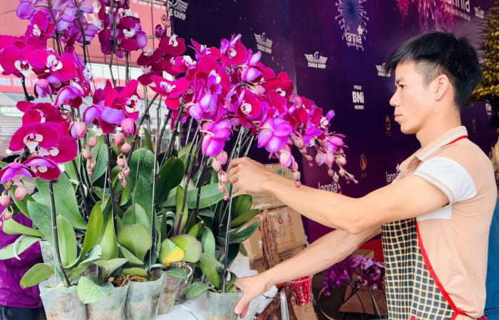 Primo piano di un vaso di orchidea Phalaenopsis placcato in oro e tempestato di diamanti in vendita per quasi 4 miliardi di VND