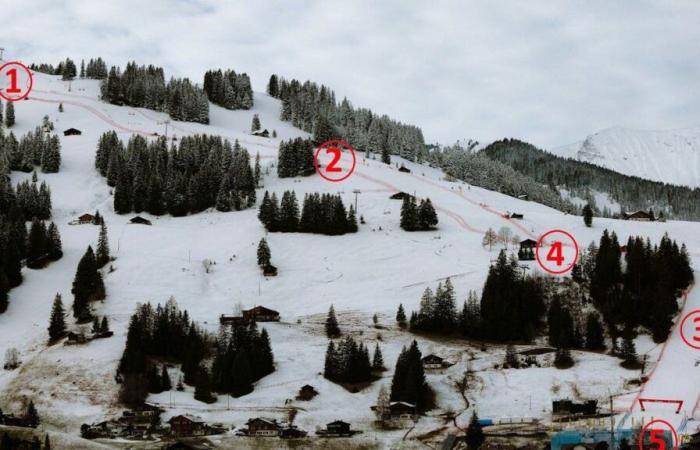 Didier Cuche decifra il gigante più bello di Adelboden