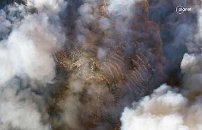 Ecco perché gli incendi di Los Angeles si stanno diffondendo così velocemente