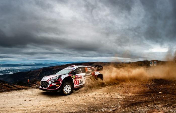 M-Sport progetta la terza Ford per diversi rally