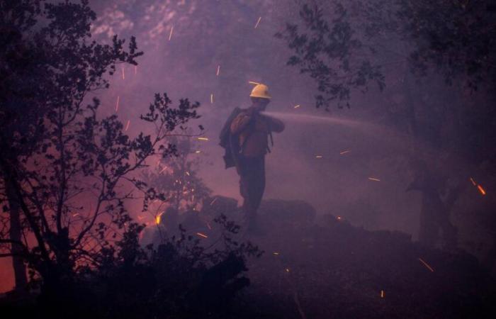 tra fiamme e disinformazione, il panico travolge la Città degli Angeli