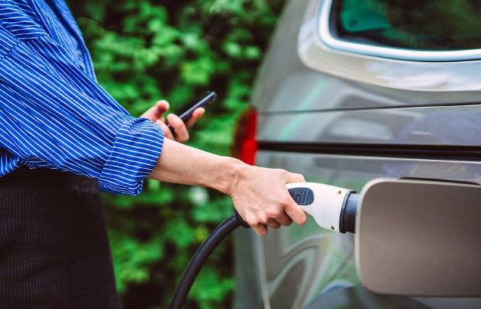 «Friburgo dà uno schiaffo alle auto elettriche»