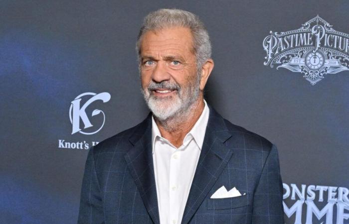 Mel Gibson ha trovato la sua casa in cenere, ma le sue galline vive e vegete