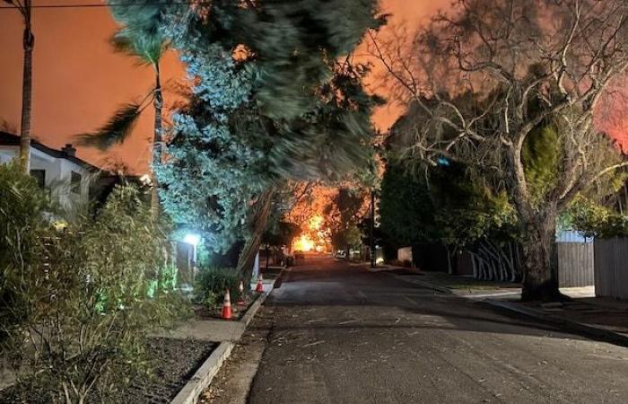 Incendi a Los Angeles: “Tutta Pacific Palisades era scomparsa”, lamenta una donna canadese