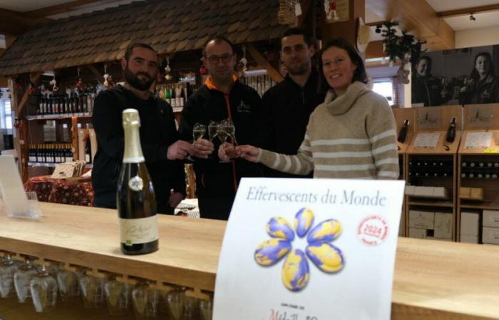 Wuenheim. Un crémant biologico ornato d’oro della cantina cooperativa Vieil Armand