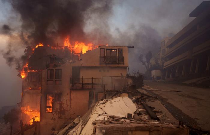 Hollywood, Malibu, Pacific Palisades… Le immagini apocalittiche degli incendi che hanno devastato Los Angeles