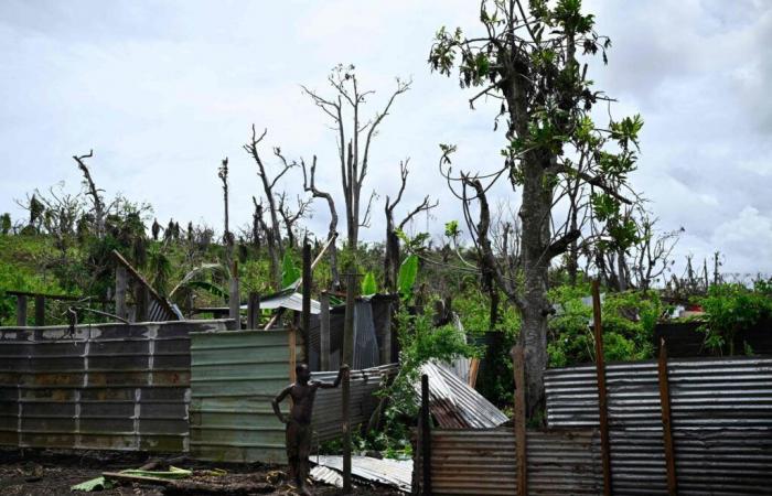 Tempesta Dikeledi: Mayotte in pre-allerta ciclone