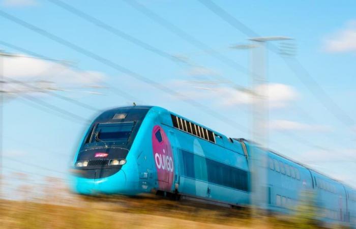 I treni Ouigo sono davvero più sporchi e soggetti a più “malfunzionamenti” rispetto ai classici TGV?