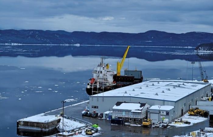 La compagnia norvegese Vianode interessata a Port Saguenay