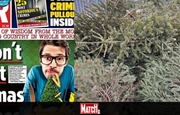 Il Belgio diventa lo zimbello dei media mondiali dopo che la città di Gand propone di mangiare il suo albero di Natale