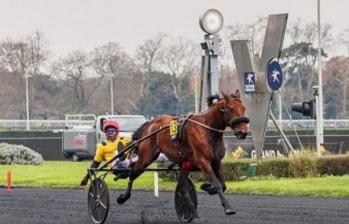 Premio del Belgio – Gare d’America Q6: It’s A Dollarmaker ha un’occasione d’oro: Trot