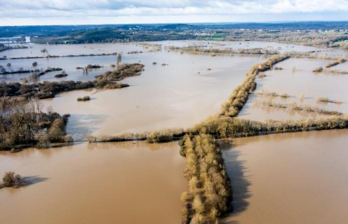 Le forti piogge hanno causato inondazioni nella Francia occidentale, dove diversi fiumi hanno esondato